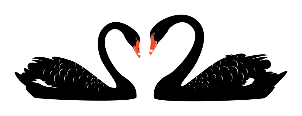 Black Swans, Fragility, and Mistakes - Econlib