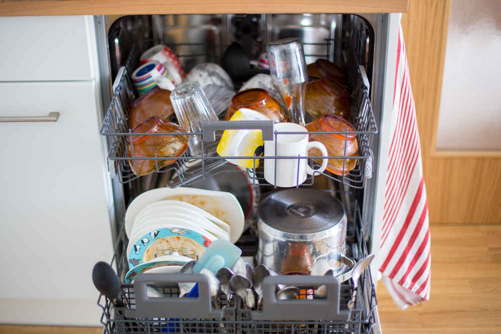 Dishwasher Darwinism and Soviet Chandeliers